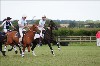 UKPA  NC Sat_1203